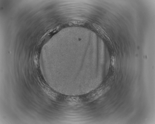 X0000087680915200706011650