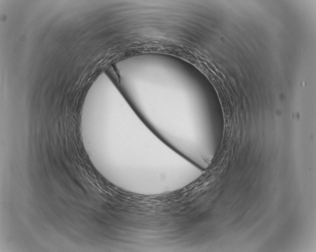 X0000087680916200706011650