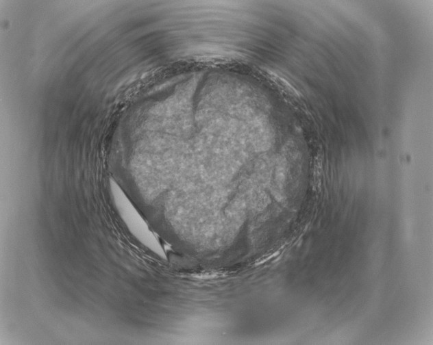 X0000087680917200706011650