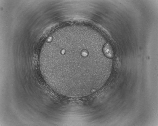 X0000087680918200706011650