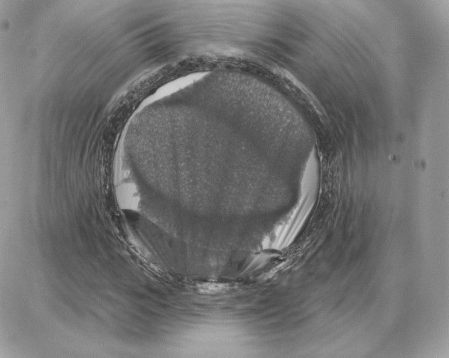 X0000087680919200706011650