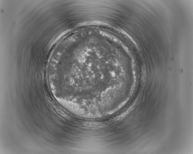 X0000087680921200706011650