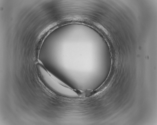 X0000087680922200706011650