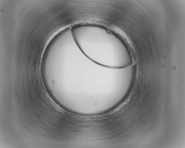 X0000087680924200706011650