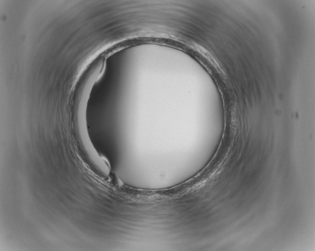 X0000087680926200706011650