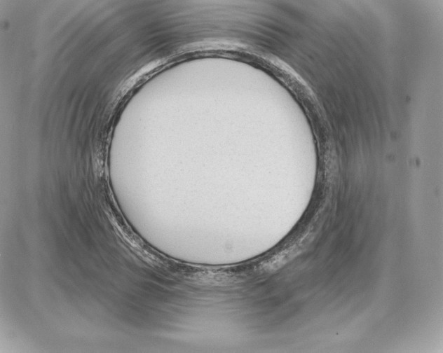 X0000087680929200706011650