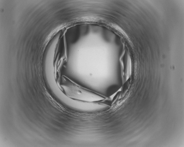 X0000087680930200706011650