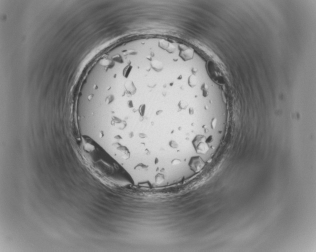 X0000087680933200706011650