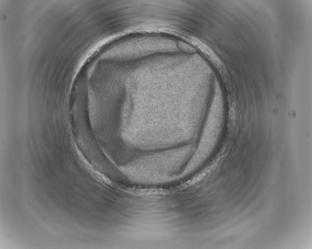 X0000087680934200706011650