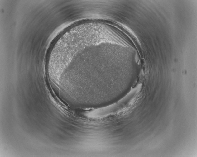 X0000087680935200706011650