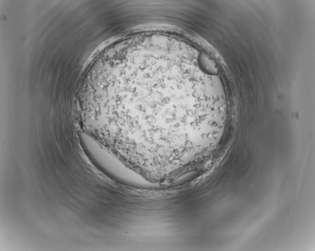 X0000087680937200706011650