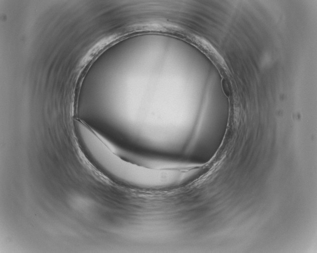 X0000087680938200706011650