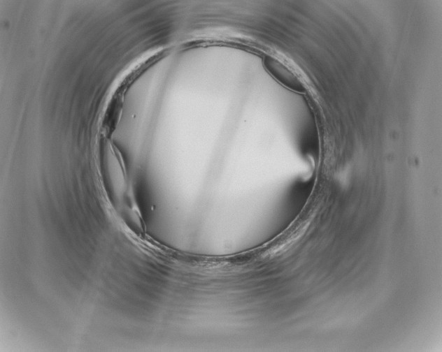 X0000087680939200706011650