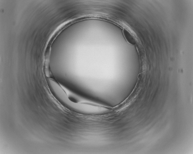 X0000087680940200706011650