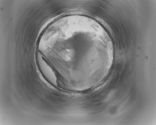 X0000087680941200706011650