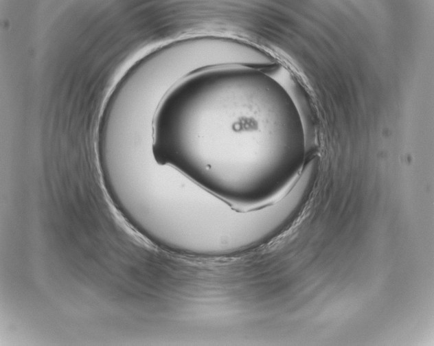 X0000087680942200706011651