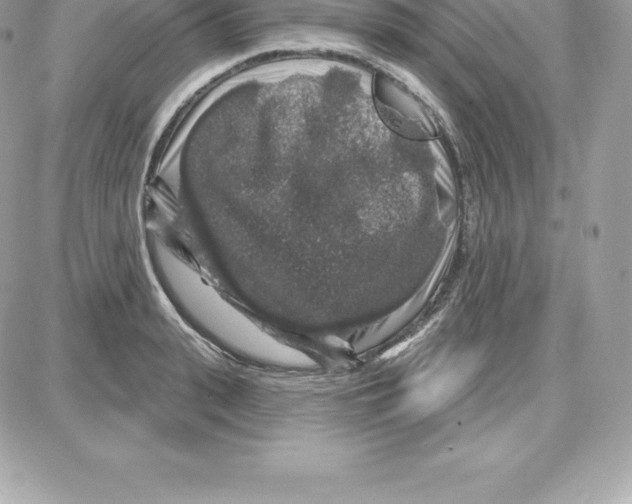 X0000087680943200706011651