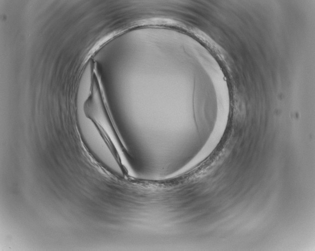 X0000087680945200706011651