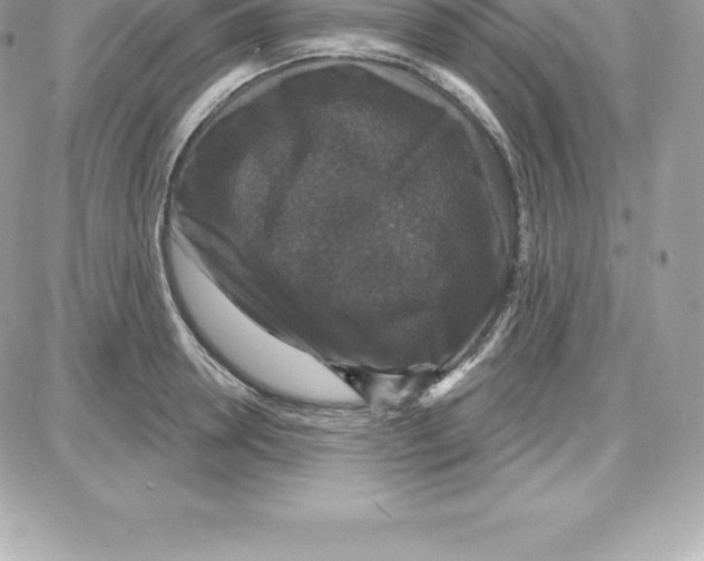 X0000087680946200706011651