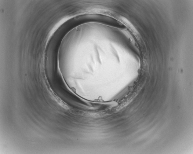 X0000087680948200706011651