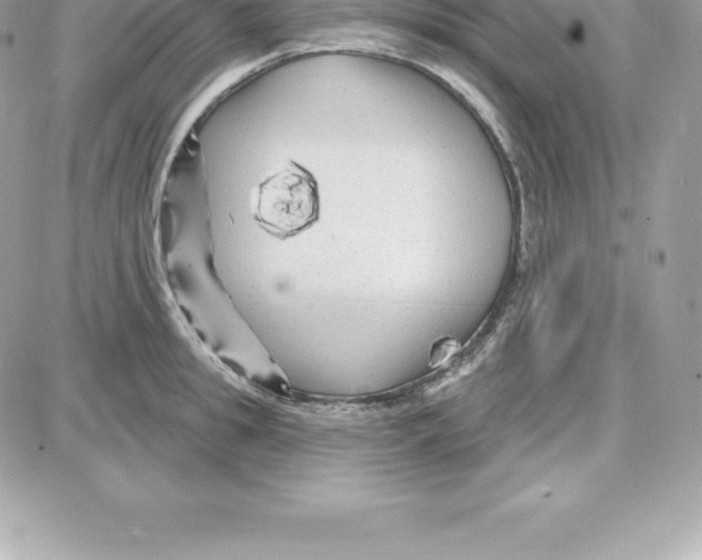 X0000087680949200706011651