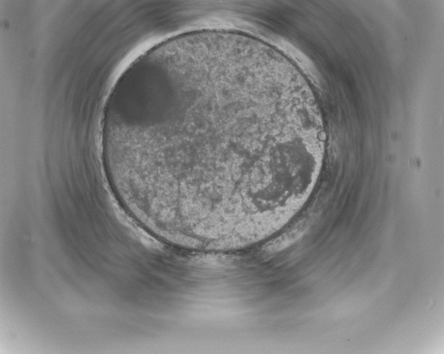 X0000087680950200706011651