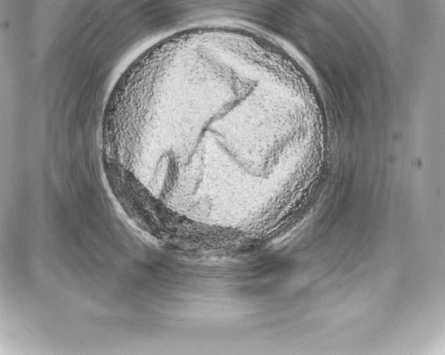 X0000087680951200706011651