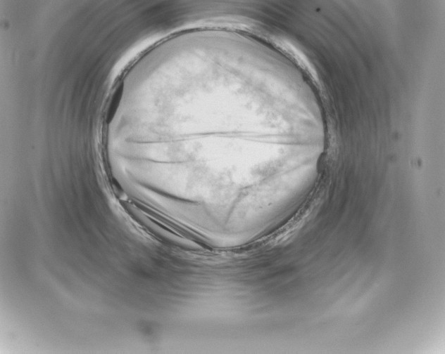 X0000087680952200706011651