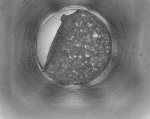 X0000087680953200706011651