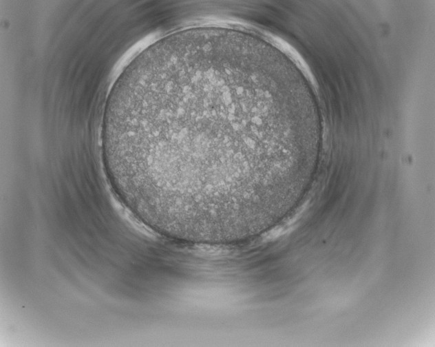 X0000087680954200706011651