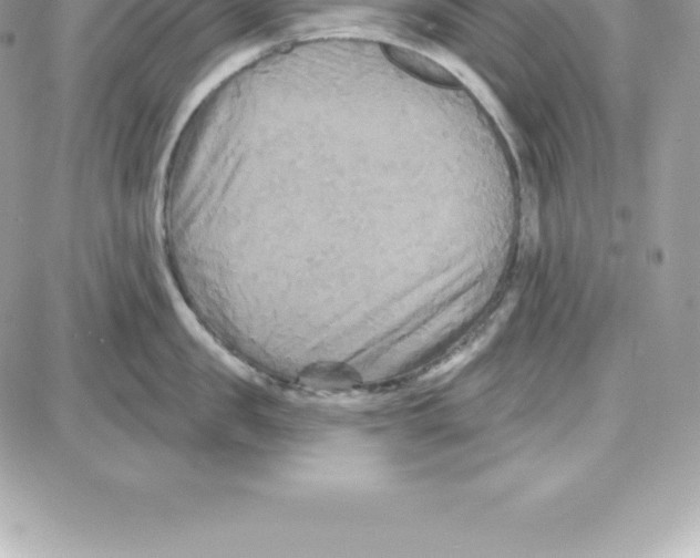 X0000087680957200706011651