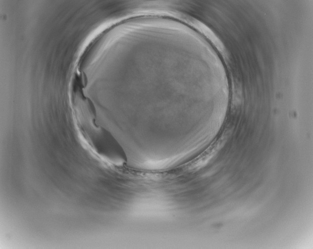 X0000087680958200706011651