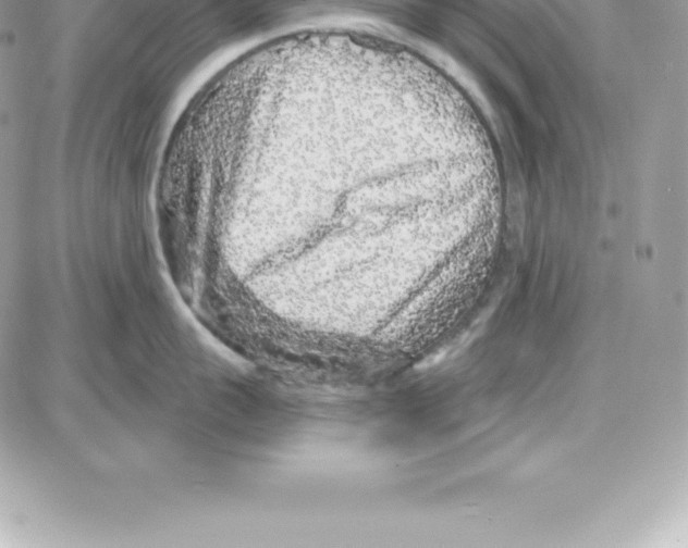 X0000087680959200706011651