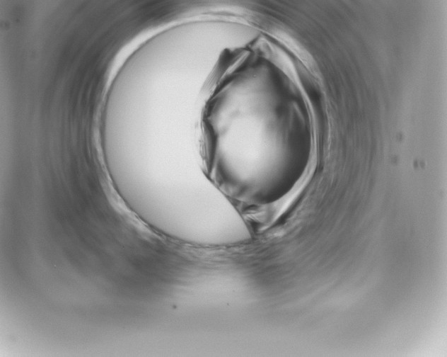 X0000087680960200706011651