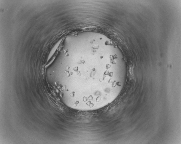 X0000087680963200706011650