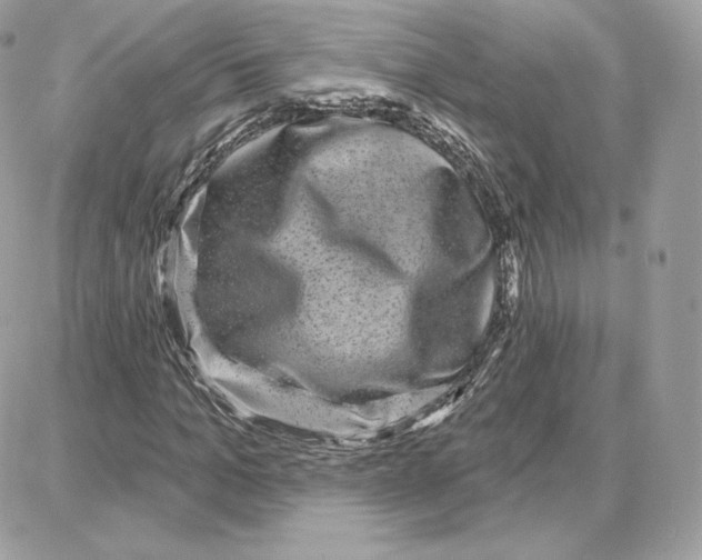 X0000087680965200706011650