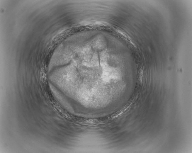 X0000087680966200706011650