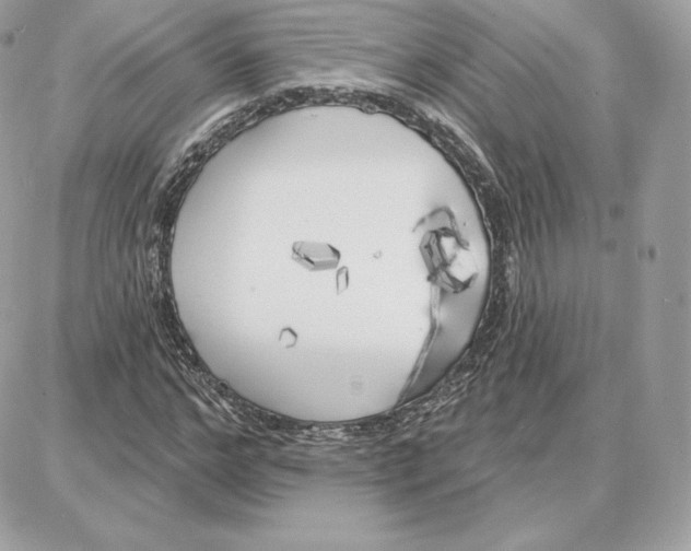 X0000087680968200706011650