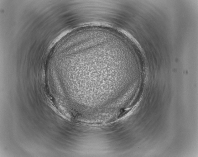 X0000087680969200706011650