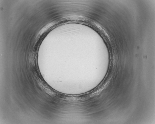 X0000087680970200706011650