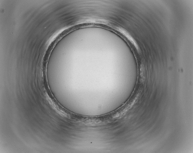 X0000087680972200706011650