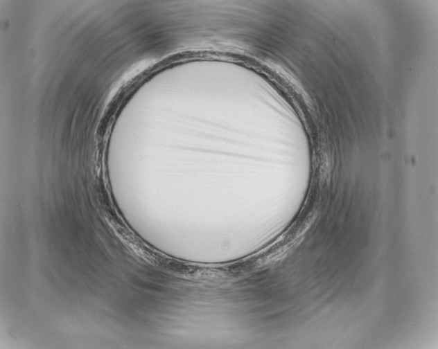 X0000087680974200706011650