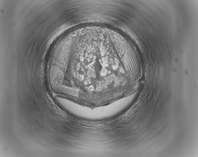 X0000087680975200706011650