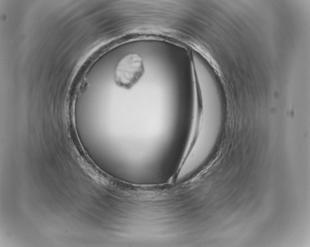 X0000087680976200706011650