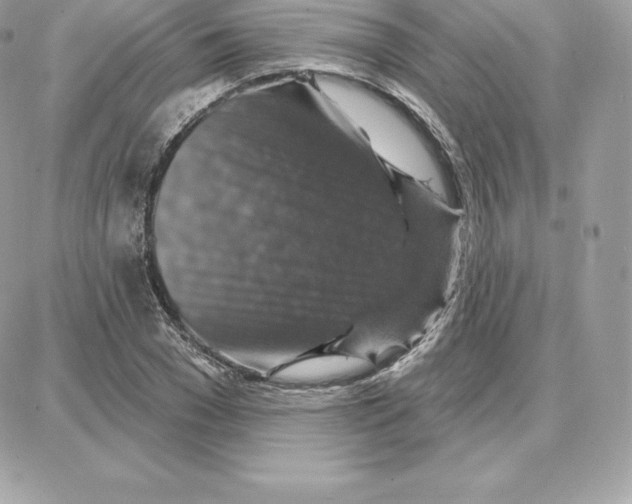 X0000087680977200706011650