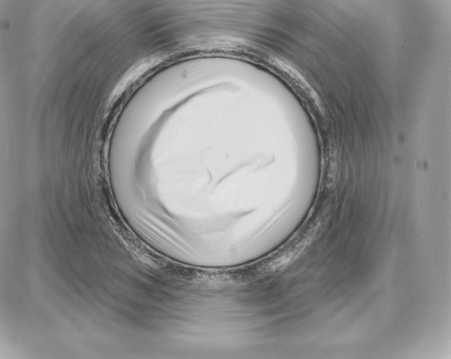 X0000087680978200706011650