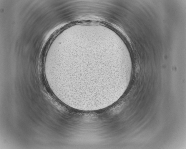 X0000087680979200706011650