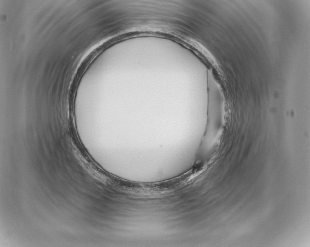 X0000087680980200706011650