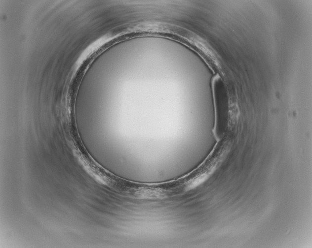 X0000087680981200706011650