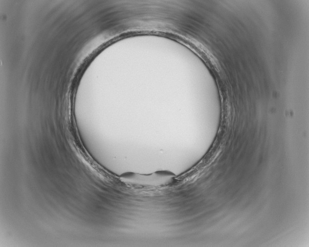 X0000087680982200706011650